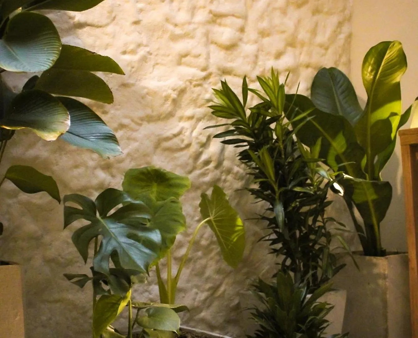 Mascomunal Hostel ميديلين 0*,