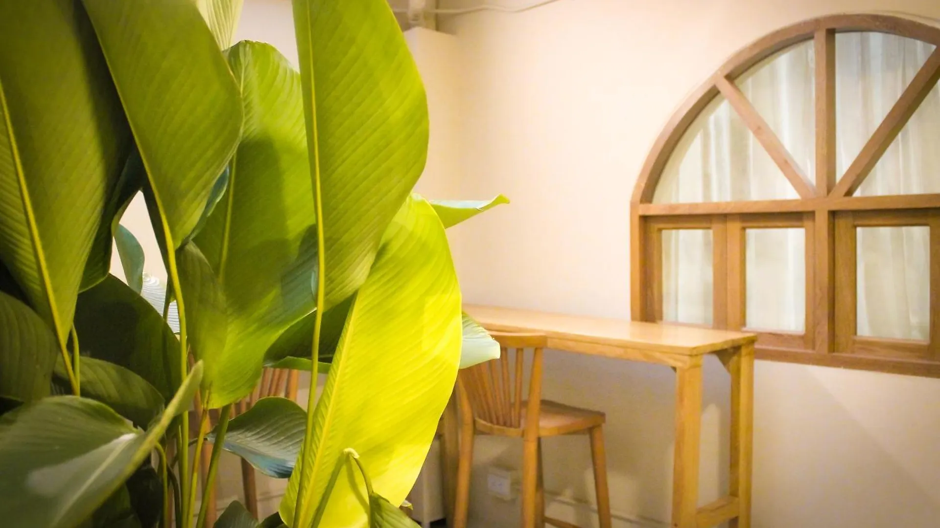 Mascomunal Hostel Medellín